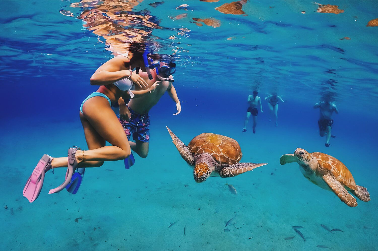swimming with turtles curacao